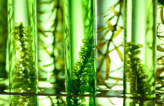 Biotechnology - Biotechfarm2